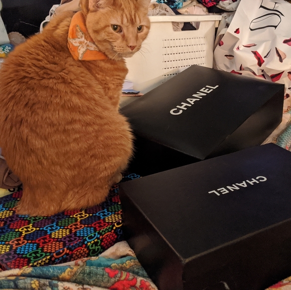 Meet your Posher, Karen Theresa - Picture 7 of 7